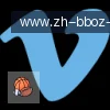 BB体育下载 logo